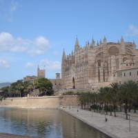Ten reasons why you should live/study in Mallorca